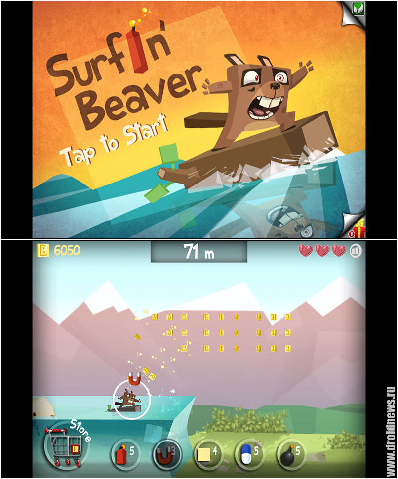 Surfing Beaver